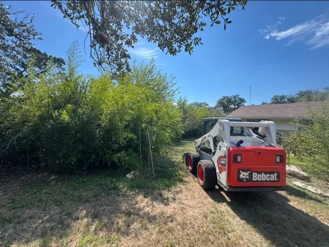 Five Star Trucking skid steer clearing heavy brush on a San Antonio lot